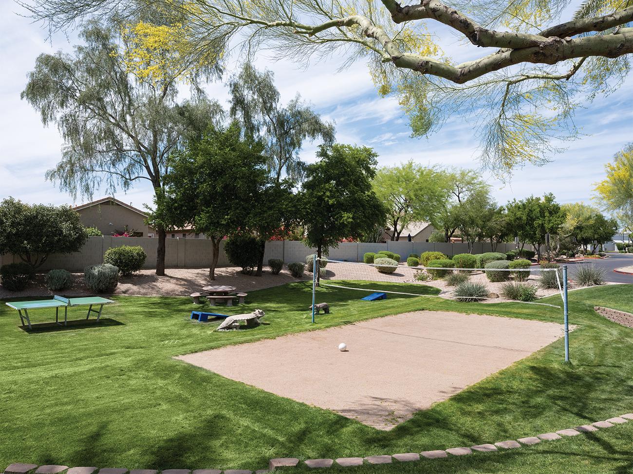 Volleyball Court